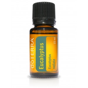 Eucalyptus Radiata 15 ml